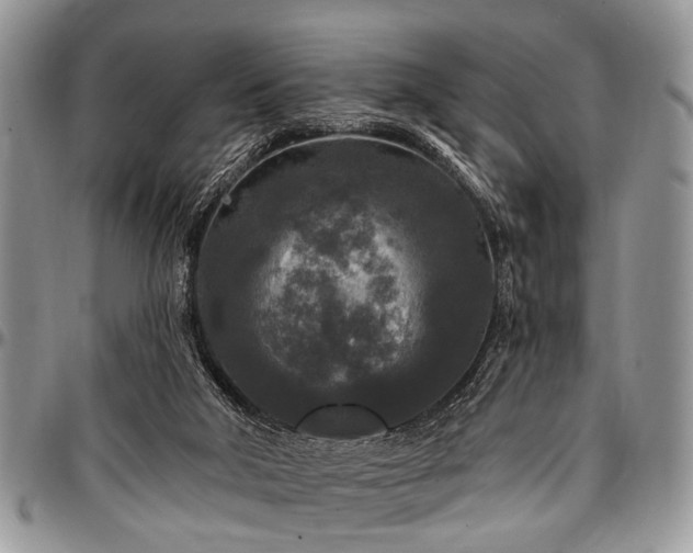 X0000097490018200802291443