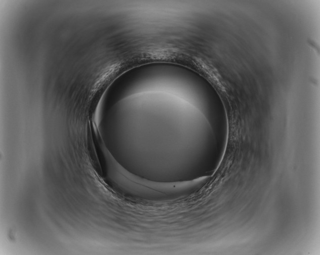 X0000097490019200802291443