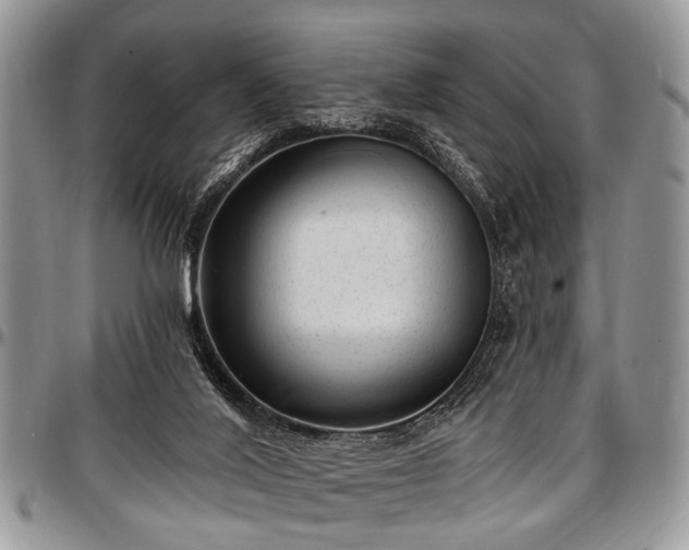 X0000097490020200802291443