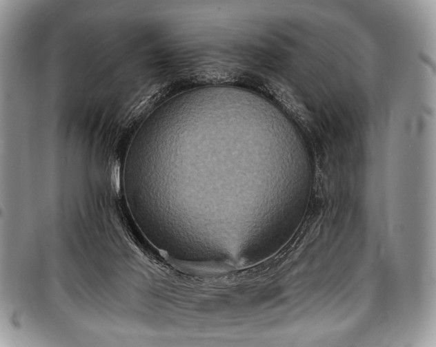 X0000097490021200802291443