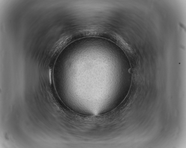 X0000097490022200802291443