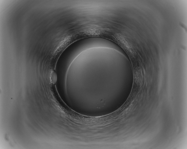 X0000097490023200802291443