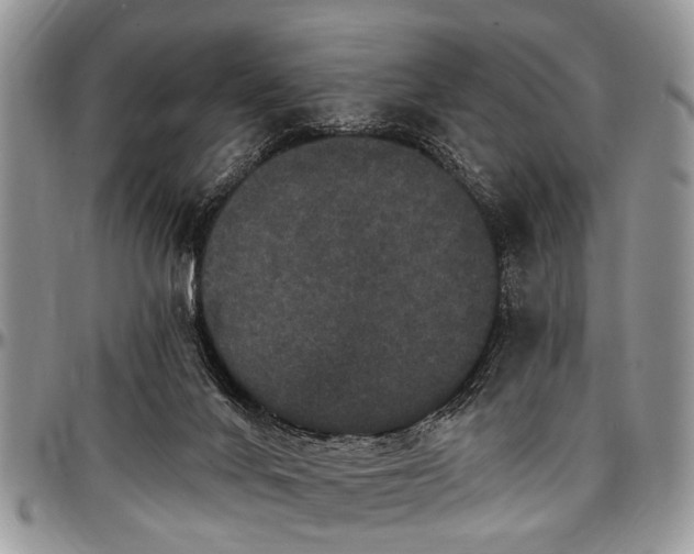 X0000097490024200802291443