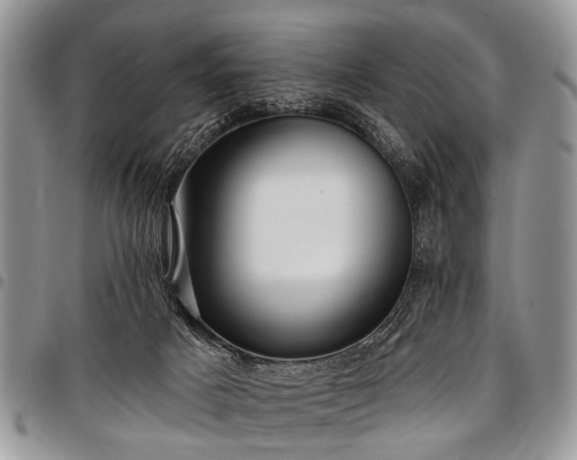 X0000097490025200802291443