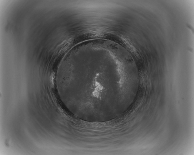 X0000097490026200802291443