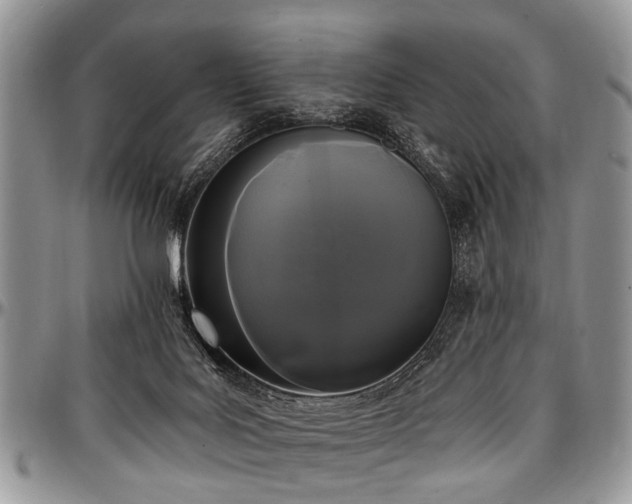 X0000097490027200802291443