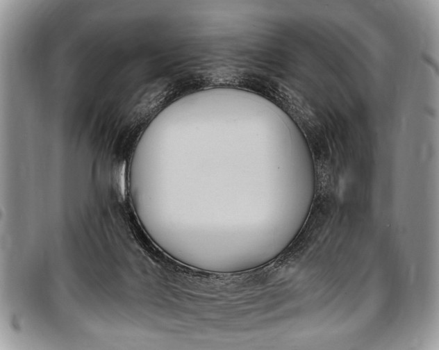 X0000097490028200802291443