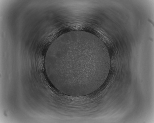 X0000097490030200802291443