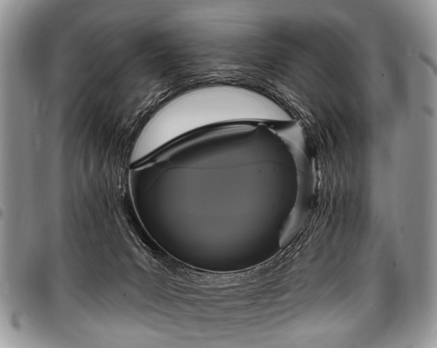 X0000097490031200802291443