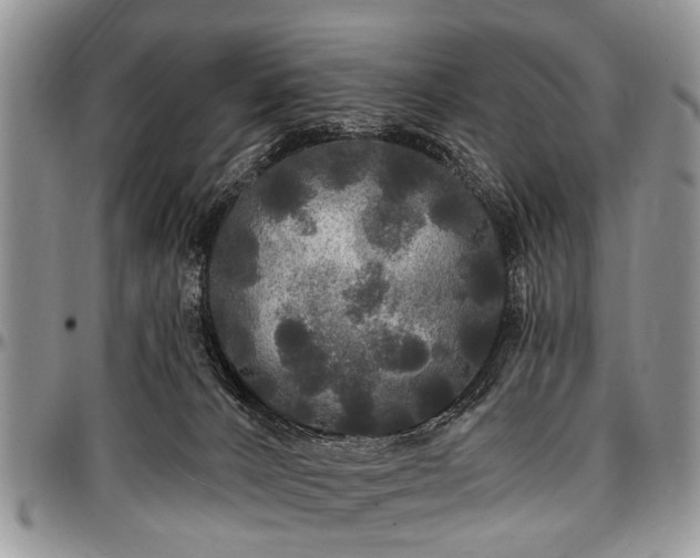 X0000097490032200802291443