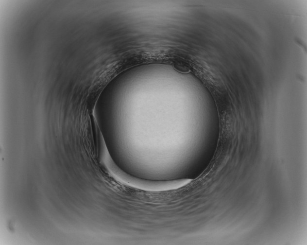 X0000097490033200802291443