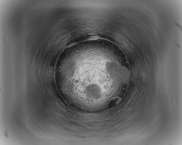 X0000097490034200802291443