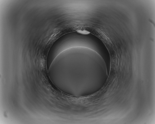 X0000097490035200802291443