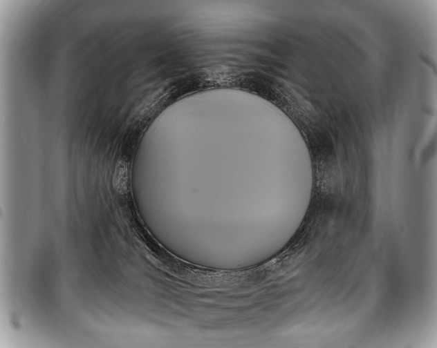 X0000097490036200802291443