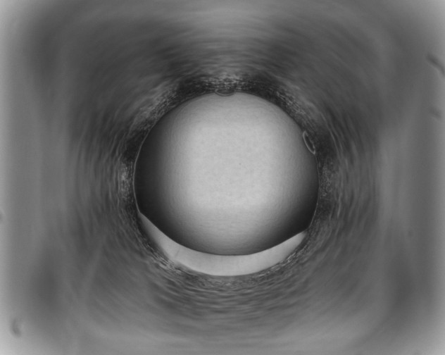 X0000097490037200802291443