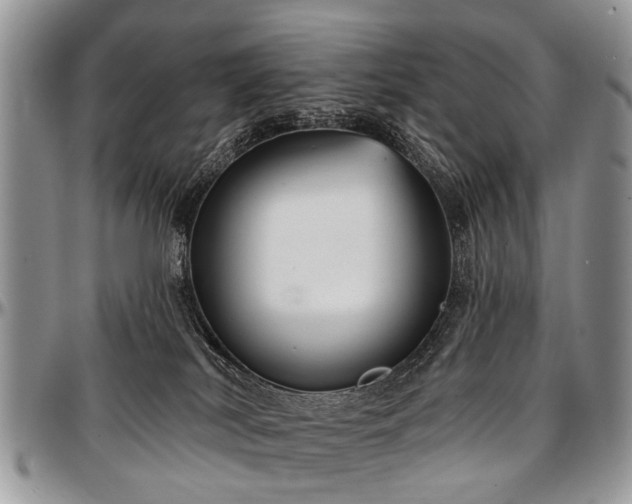 X0000097490038200802291443