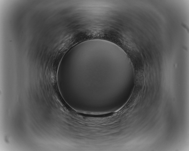 X0000097490039200802291443