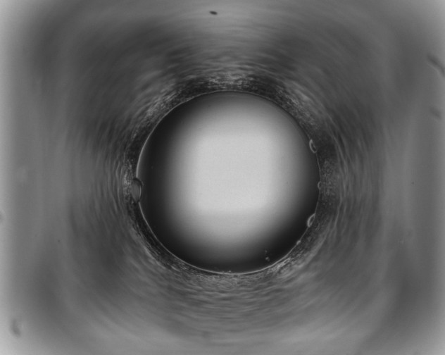 X0000097490040200802291443