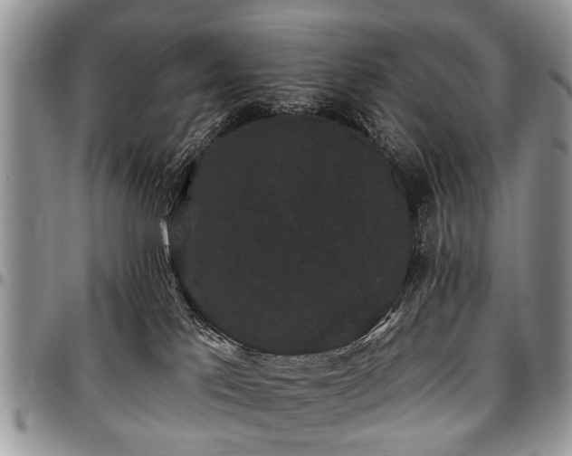 X0000097490041200802291443