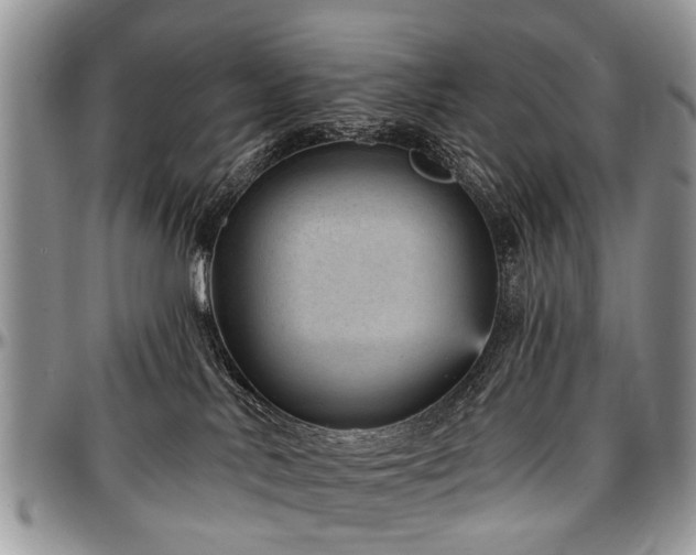 X0000097490042200802291443