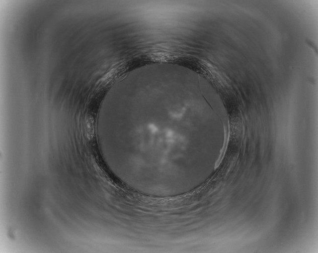 X0000097490043200802291443