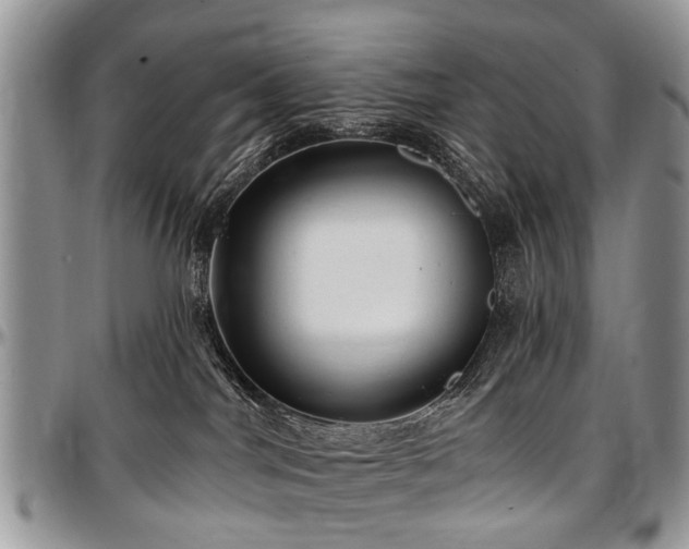 X0000097490044200802291443