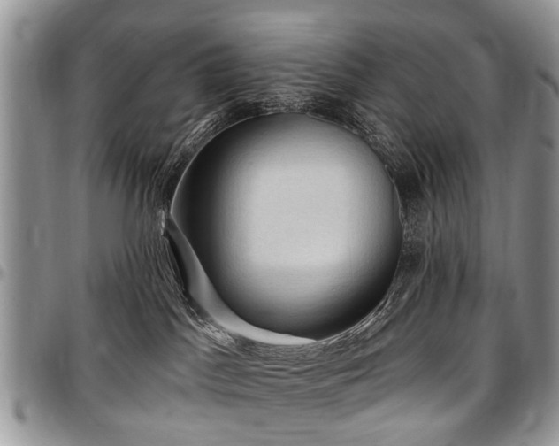 X0000097490045200802291443