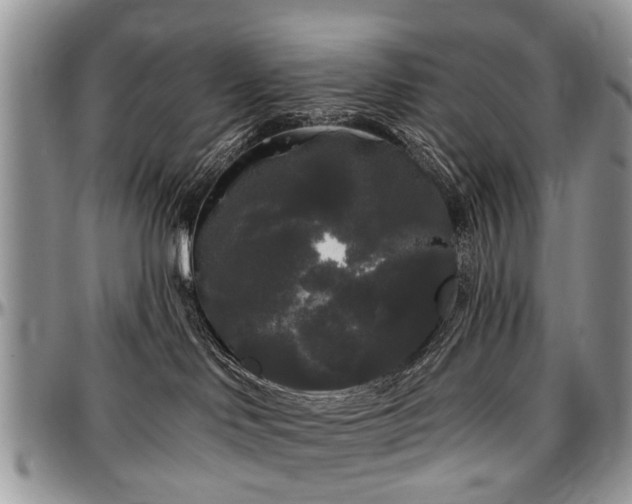 X0000097490046200802291443