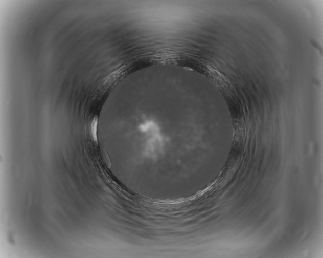 X0000097490047200802291443