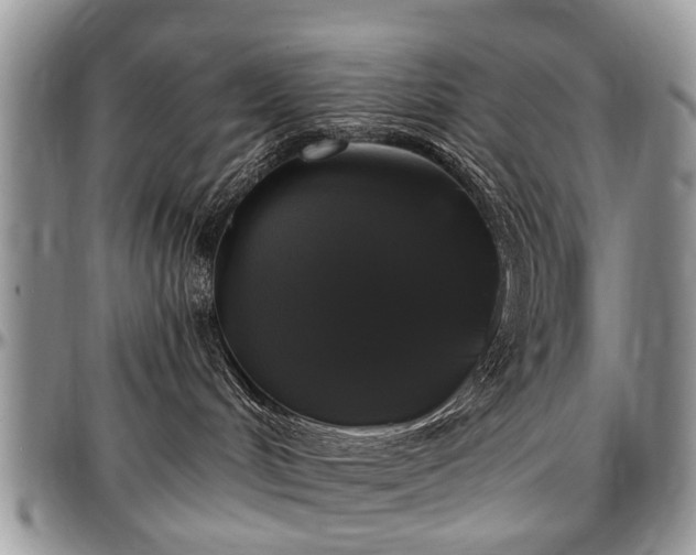 X0000097490048200802291443