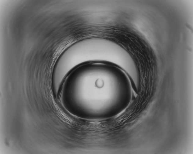 X0000097490049200802291442