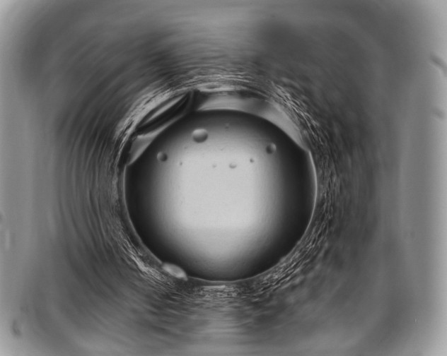 X0000097490050200802291442