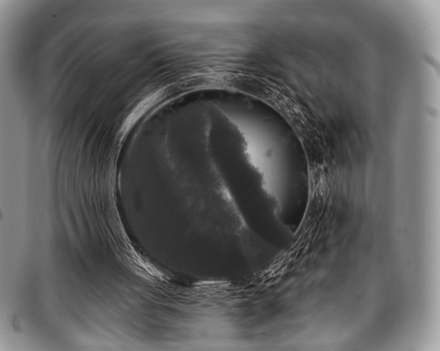 X0000097490051200802291442