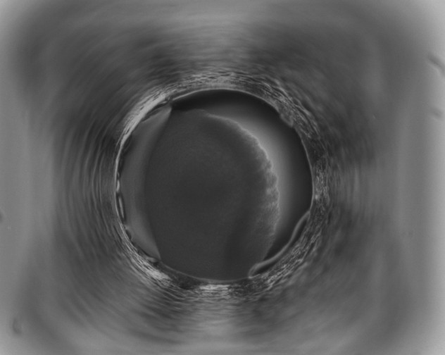 X0000097490052200802291442