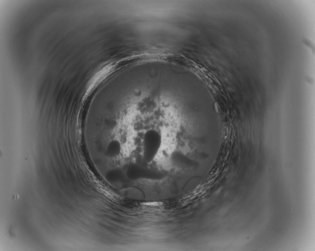 X0000097490053200802291442