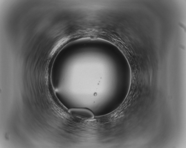 X0000097490054200802291442