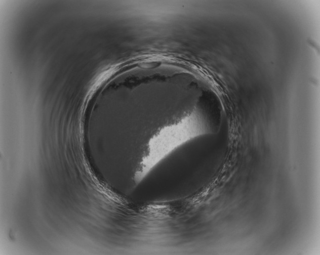 X0000097490055200802291442