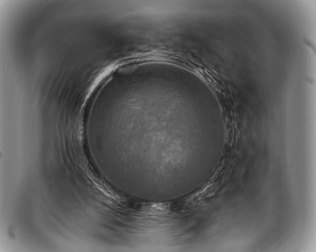 X0000097490056200802291442