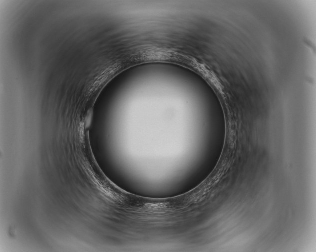 X0000097490057200802291442