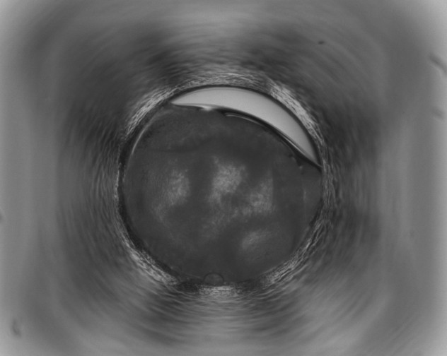 X0000097490058200802291442