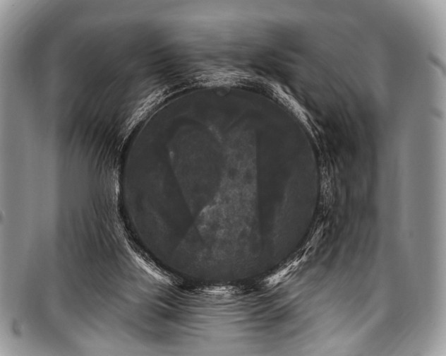 X0000097490059200802291442