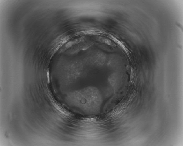 X0000097490061200802291442