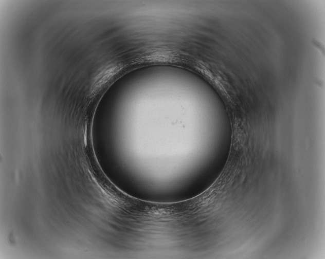 X0000097490062200802291442