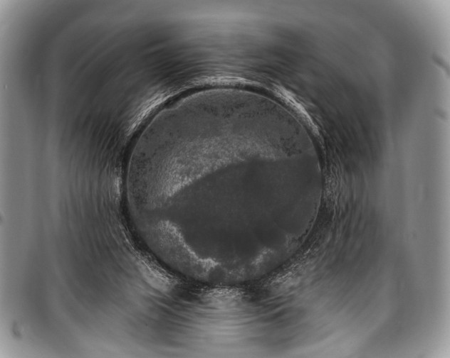 X0000097490063200802291442