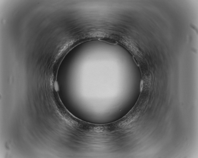 X0000097490064200802291442