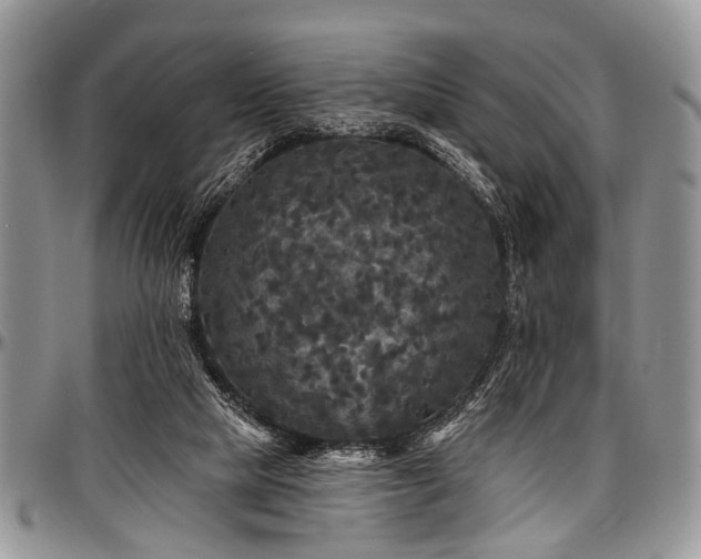 X0000097490065200802291442