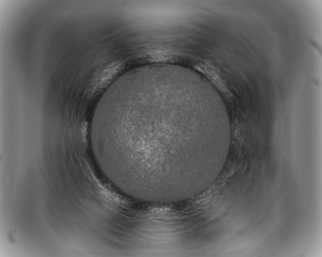 X0000097490066200802291442