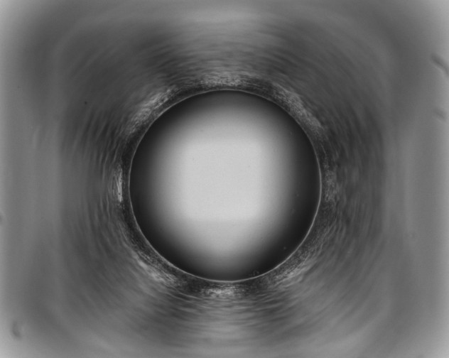 X0000097490068200802291442