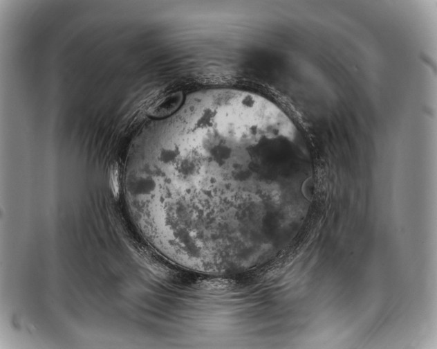 X0000097490069200802291442