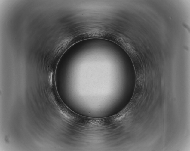 X0000097490070200802291442